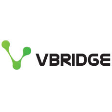 VBridge Broadband Review
