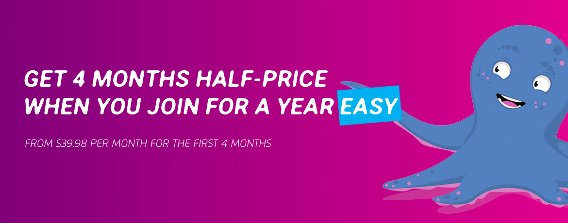 Stuff Fibre - 4 Months Half Price Deal