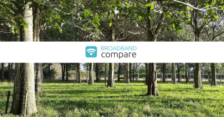 Trees or Wifi?  Changes to how you ‘log’ on with rural broadband.