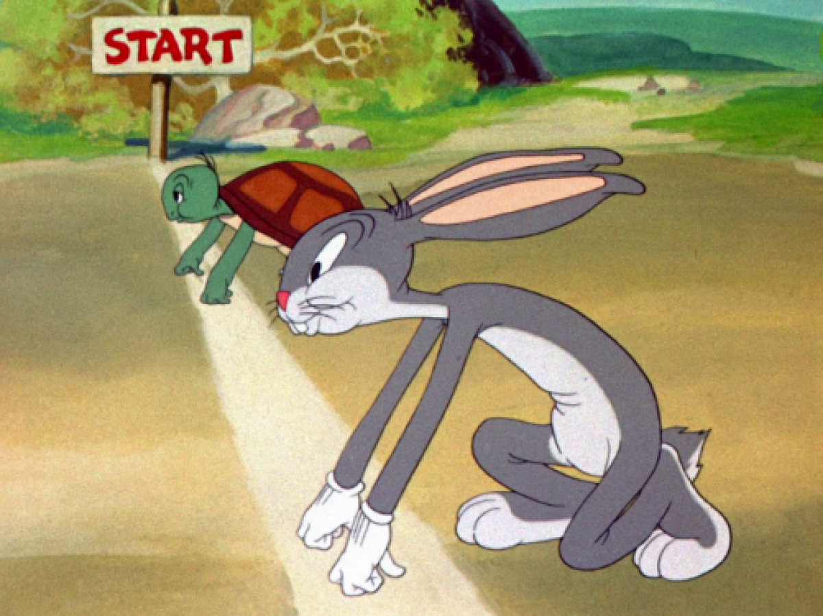 Internet Connection Speeds in New Zealand