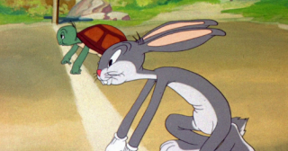 Internet Connection Speeds in New Zealand