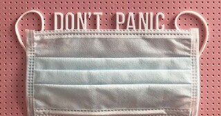 What the upgrade to COVID-19 Stage 4 means for NZ Broadband