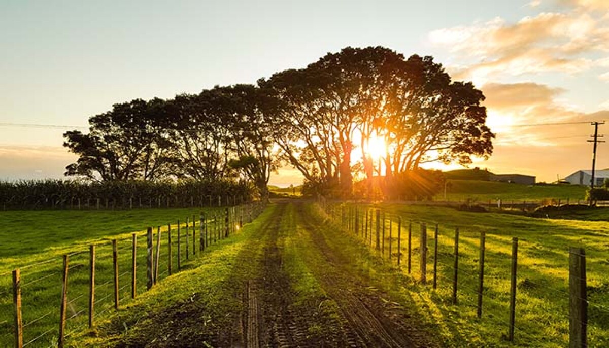 Government announce 15 million spend on rural broadband