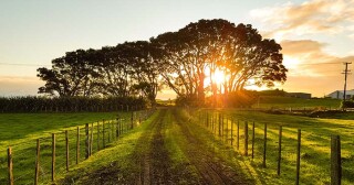 Government bring forward $15 million spend on Rural Broadband 