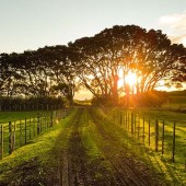 Government announce 15 million spend on rural broadband