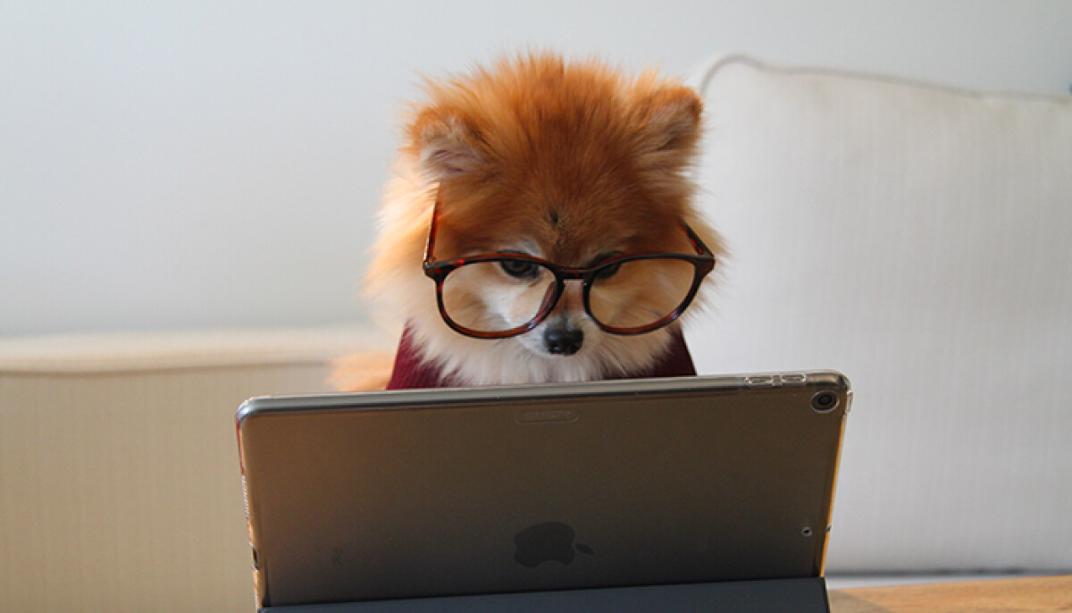 Upgrade to fibre broadband