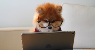 Top reasons to switch to Fibre Broadband