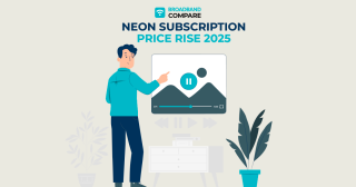Neon Subscription Price Rise 2025