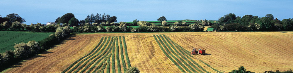 Rural Broadband NZ